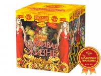 Красивая жизнь Фейерверк купить в Сергиеве Посаде | sergiev-posad .salutsklad.ru