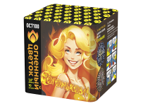 С огоньком! Фейерверк купить в Сергиеве Посаде | sergiev-posad .salutsklad.ru