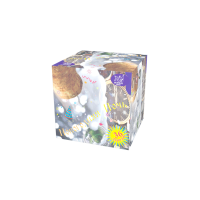 Новогодняя ночь Салют купить в Сергиеве Посаде | sergiev-posad .salutsklad.ru