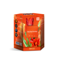 Тюльпаны Салют купить в Сергиеве Посаде | sergiev-posad .salutsklad.ru