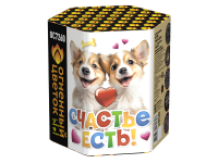 Счастье есть! Салют купить в Сергиеве Посаде | sergiev-posad .salutsklad.ru