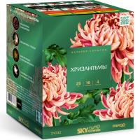 Хризантемы Фейерверк купить в Сергиеве Посаде | sergiev-posad .salutsklad.ru