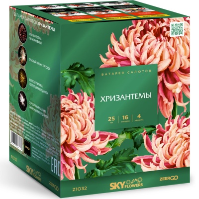 Хризантемы Фейерверк купить в Сергиеве Посаде | sergiev-posad .salutsklad.ru